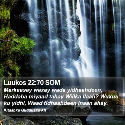 Luukos 22:70 SOM Bible Verse Image