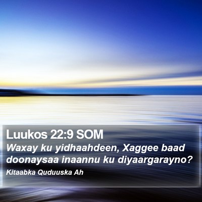 Luukos 22:9 SOM Bible Verse Image