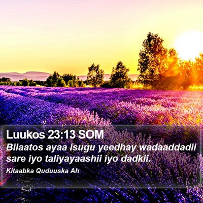 Luukos 23:13 SOM Bible Verse Image