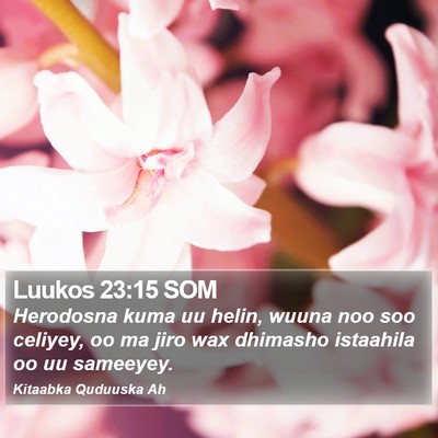 Luukos 23:15 SOM Bible Verse Image