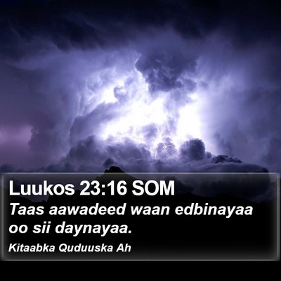 Luukos 23:16 SOM Bible Verse Image