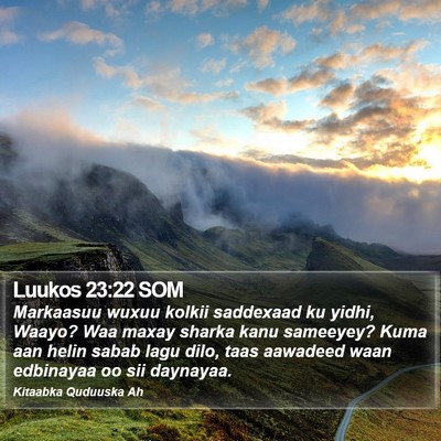 Luukos 23:22 SOM Bible Verse Image