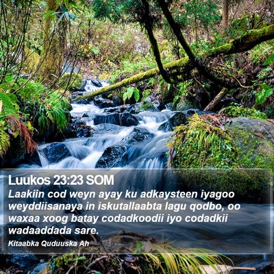 Luukos 23:23 SOM Bible Verse Image