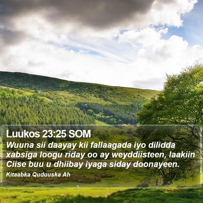 Luukos 23:25 SOM Bible Verse Image