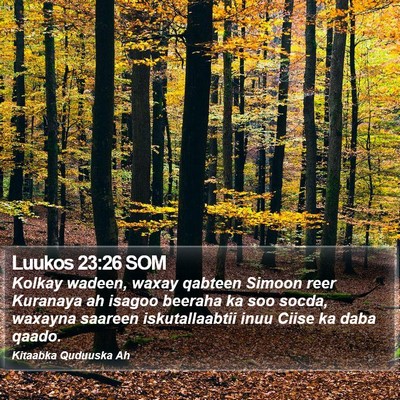 Luukos 23:26 SOM Bible Verse Image