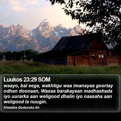 Luukos 23:29 SOM Bible Verse Image