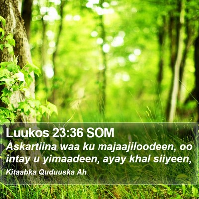 Luukos 23:36 SOM Bible Verse Image