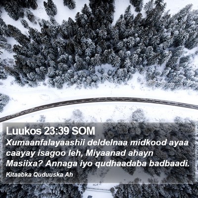 Luukos 23:39 SOM Bible Verse Image