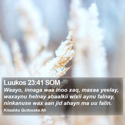 Luukos 23:41 SOM Bible Verse Image