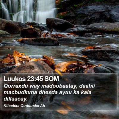 Luukos 23:45 SOM Bible Verse Image