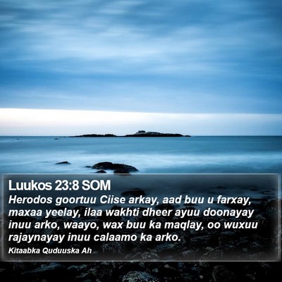 Luukos 23:8 SOM Bible Verse Image