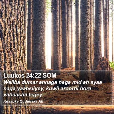 Luukos 24:22 SOM Bible Verse Image