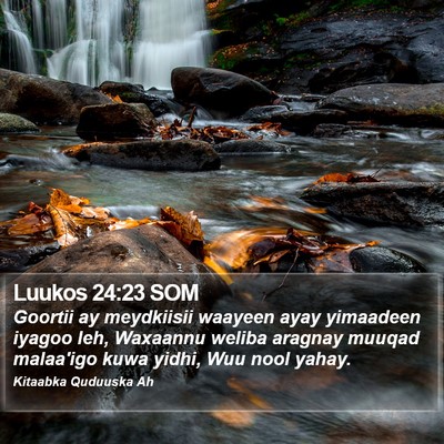 Luukos 24:23 SOM Bible Verse Image