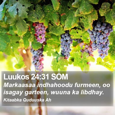Luukos 24:31 SOM Bible Verse Image
