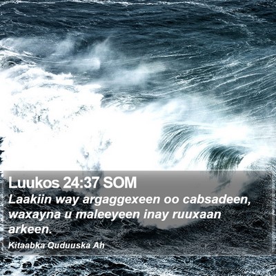 Luukos 24:37 SOM Bible Verse Image