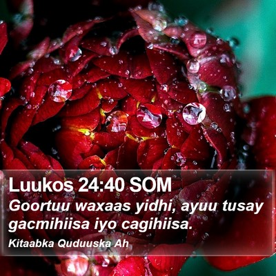 Luukos 24:40 SOM Bible Verse Image