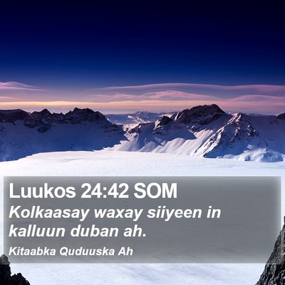 Luukos 24:42 SOM Bible Verse Image