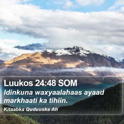 Luukos 24:48 SOM Bible Verse Image