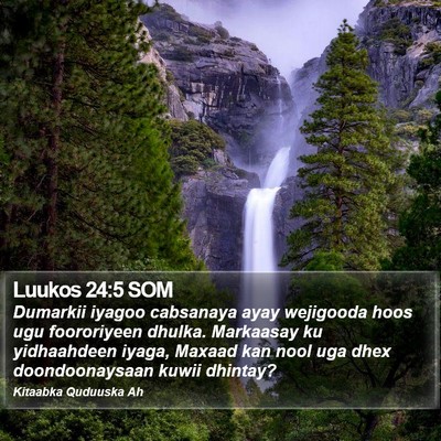 Luukos 24:5 SOM Bible Verse Image