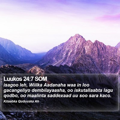 Luukos 24:7 SOM Bible Verse Image