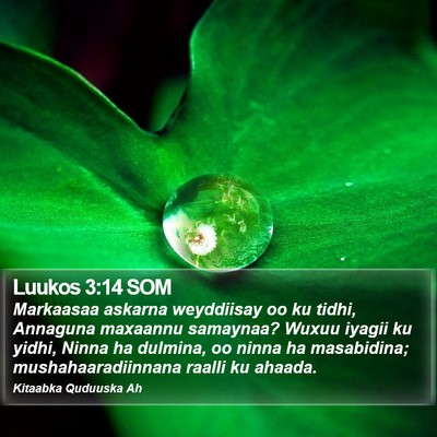 Luukos 3:14 SOM Bible Verse Image