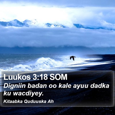 Luukos 3:18 SOM Bible Verse Image