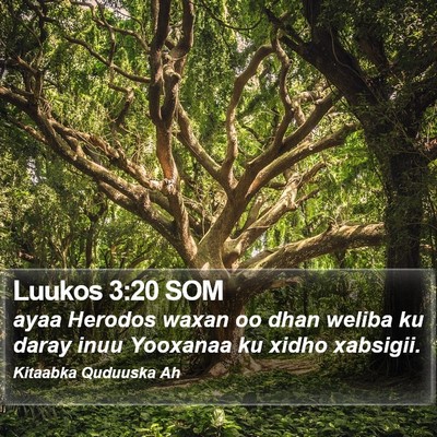 Luukos 3:20 SOM Bible Verse Image