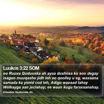 Luukos 3:22 SOM Bible Verse Image