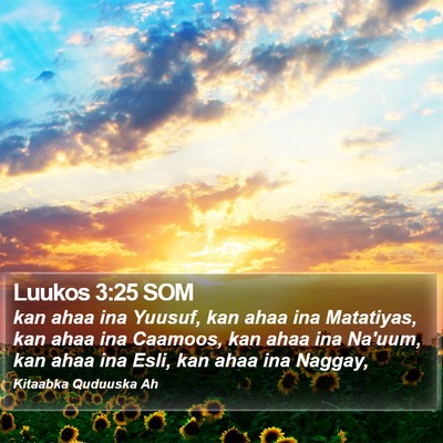 Luukos 3:25 SOM Bible Verse Image