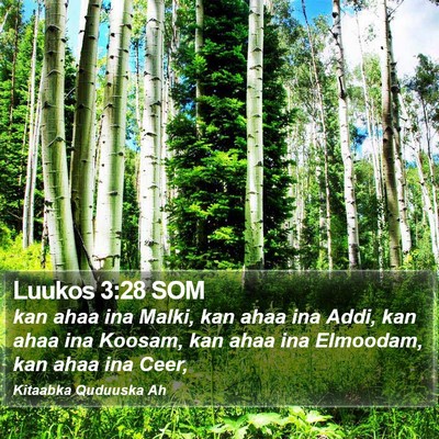 Luukos 3:28 SOM Bible Verse Image