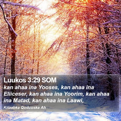 Luukos 3:29 SOM Bible Verse Image