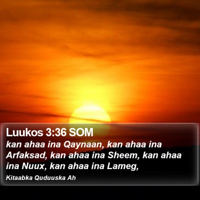Luukos 3:36 SOM Bible Verse Image