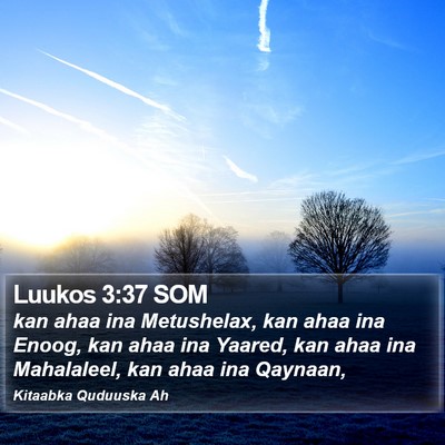 Luukos 3:37 SOM Bible Verse Image