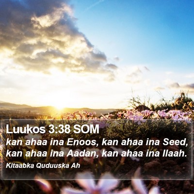 Luukos 3:38 SOM Bible Verse Image