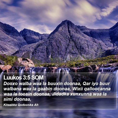 Luukos 3:5 SOM Bible Verse Image