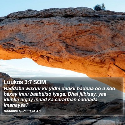 Luukos 3:7 SOM Bible Verse Image