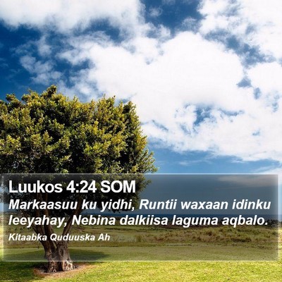 Luukos 4:24 SOM Bible Verse Image