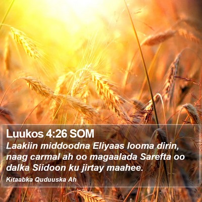 Luukos 4:26 SOM Bible Verse Image
