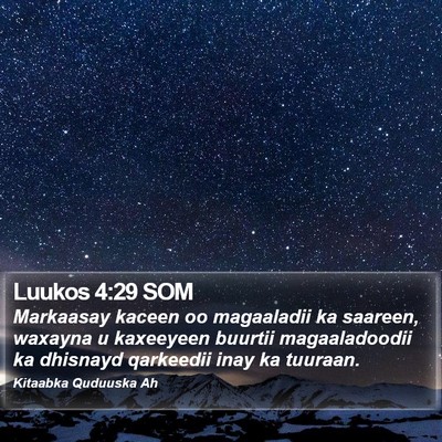 Luukos 4:29 SOM Bible Verse Image