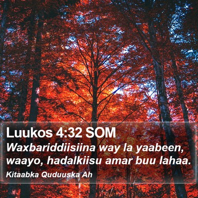 Luukos 4:32 SOM Bible Verse Image