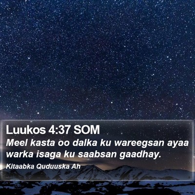 Luukos 4:37 SOM Bible Verse Image