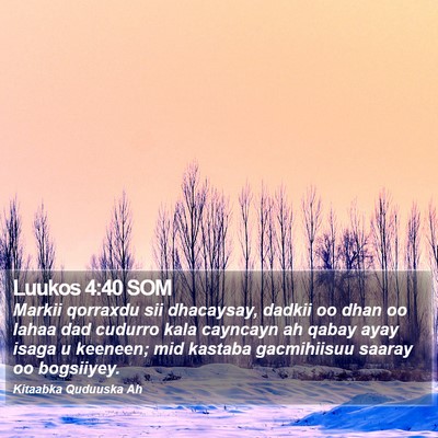 Luukos 4:40 SOM Bible Verse Image