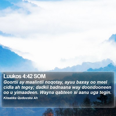 Luukos 4:42 SOM Bible Verse Image