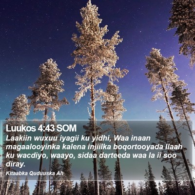 Luukos 4:43 SOM Bible Verse Image