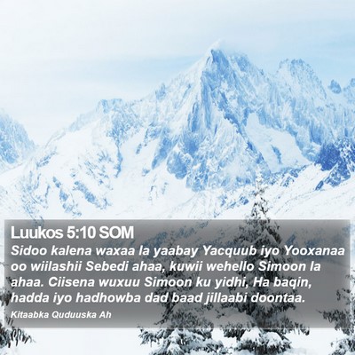 Luukos 5:10 SOM Bible Verse Image