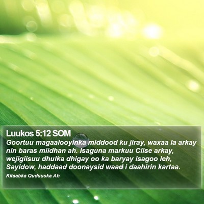 Luukos 5:12 SOM Bible Verse Image