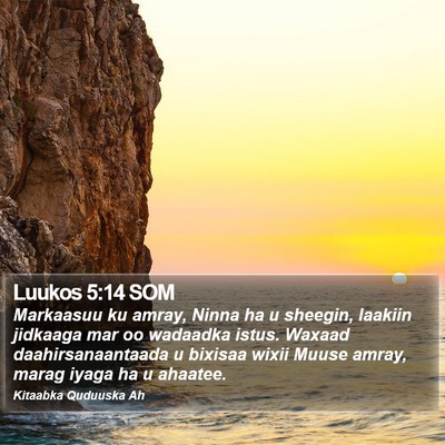 Luukos 5:14 SOM Bible Verse Image