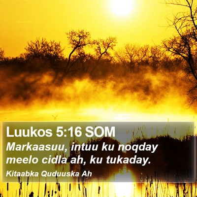 Luukos 5:16 SOM Bible Verse Image