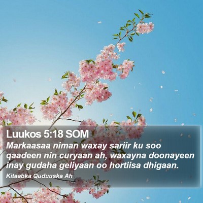 Luukos 5:18 SOM Bible Verse Image