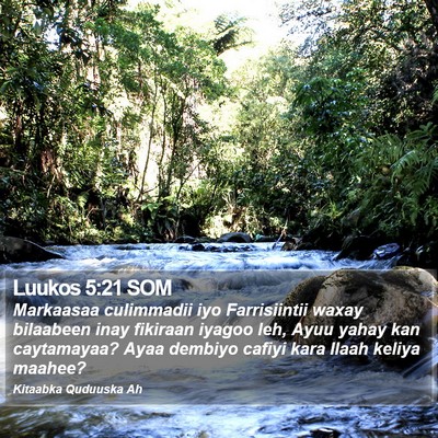 Luukos 5:21 SOM Bible Verse Image